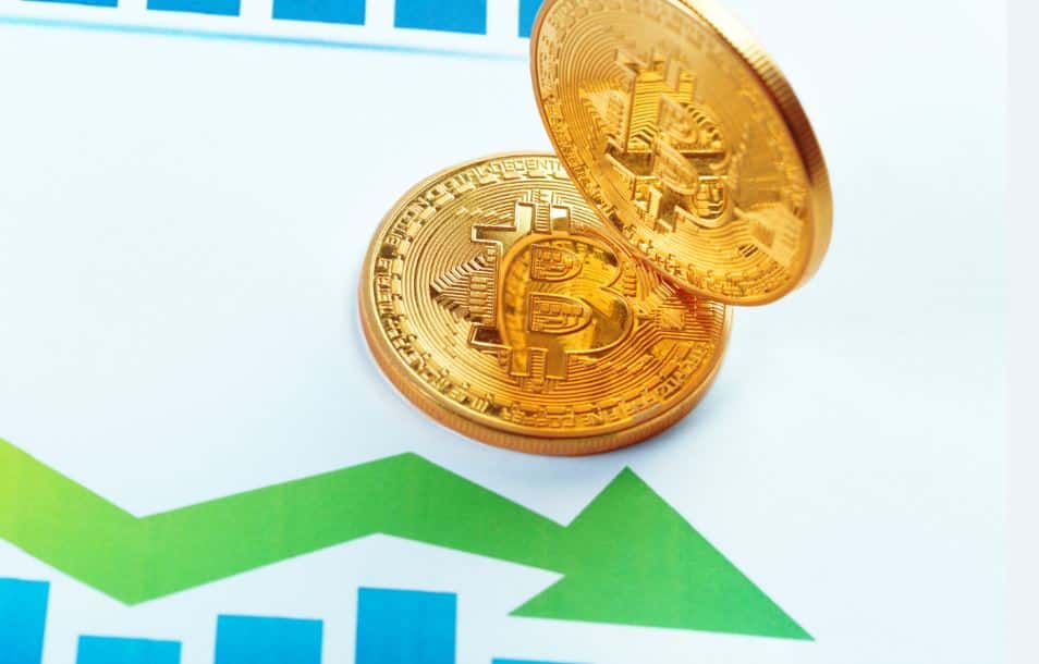 A Snap of the Top Up & Down Movers of Past Week in the Crypto World